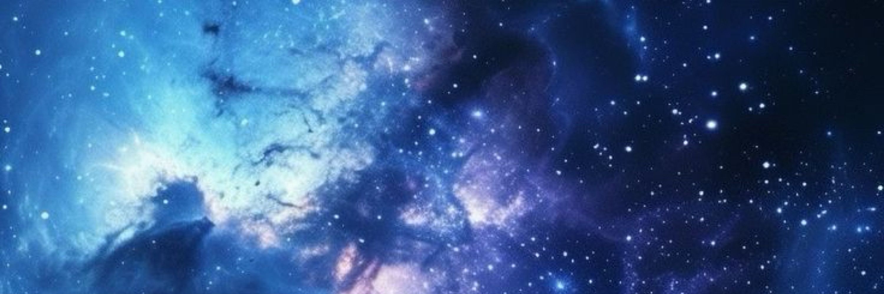 ✧•°.ᏕᎧᏰᏋᏦ. ₊’॰ 🔞