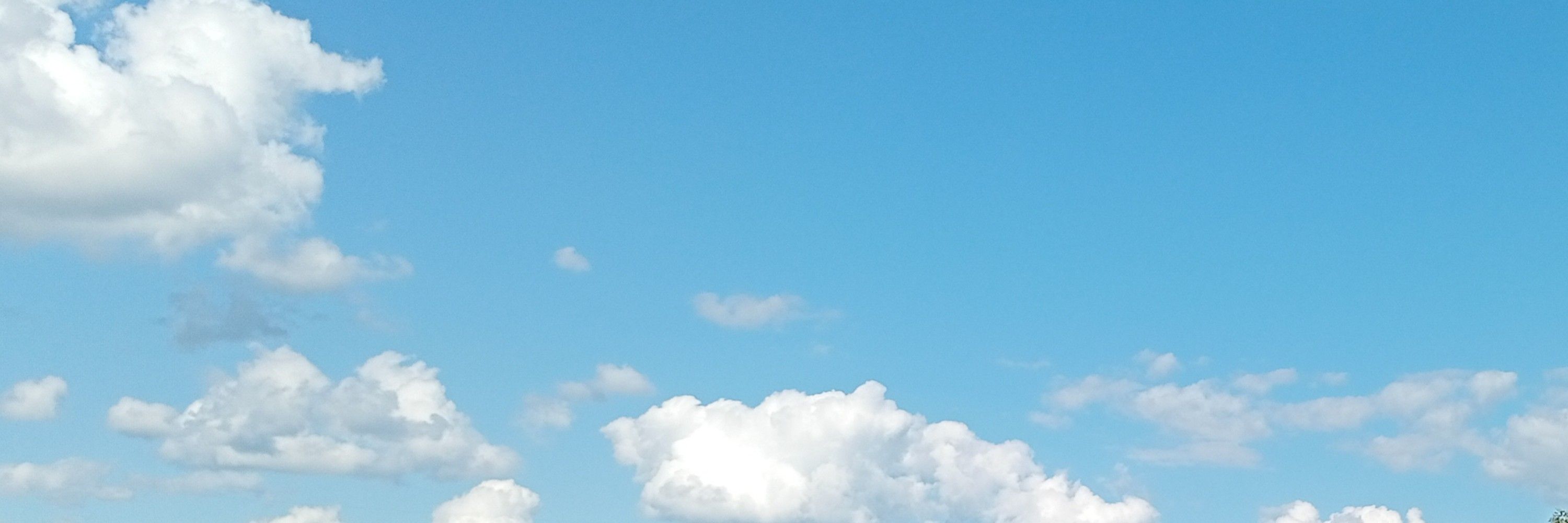 SenviLu