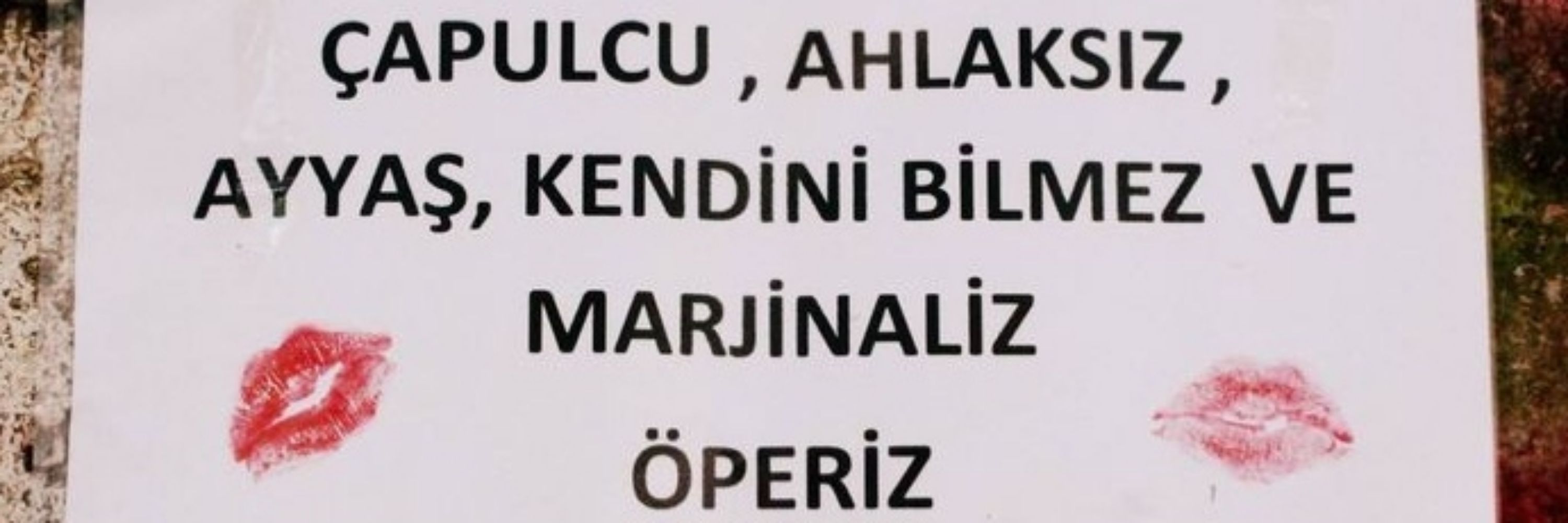 vandal çapulcu