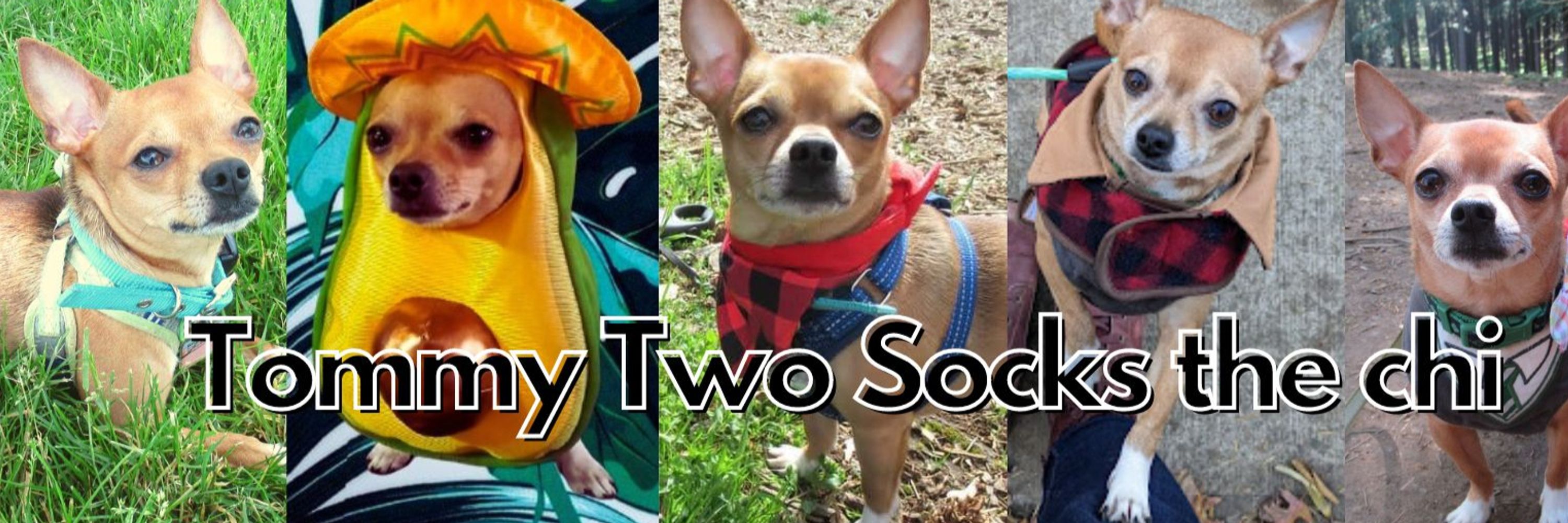 Tommy Two Socks The Chi 