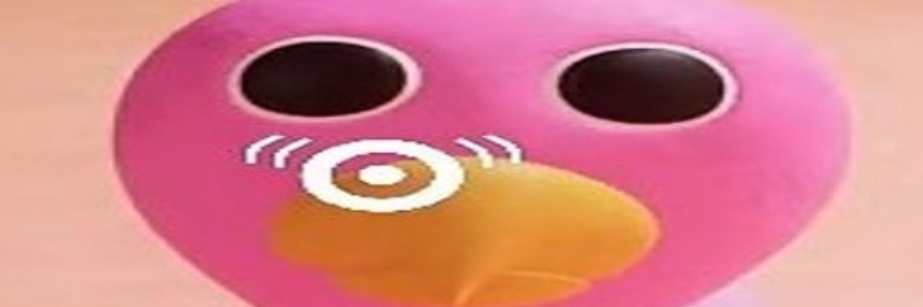 Jbob