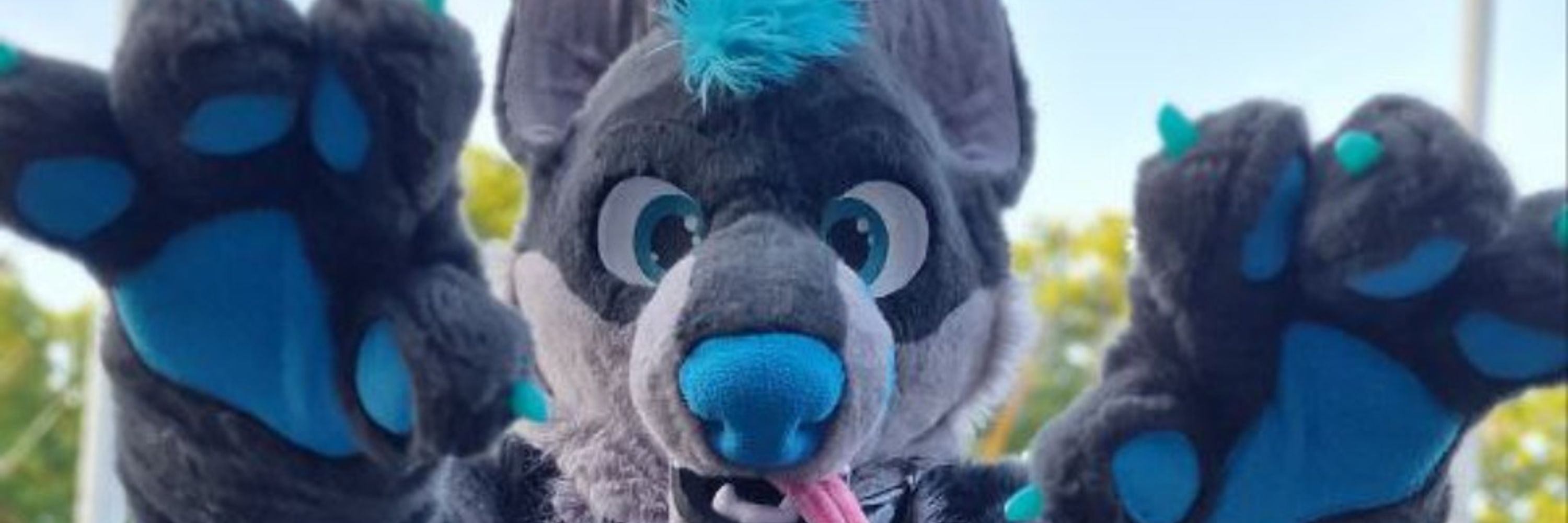 Dingo 🐺 🔜 EF27 