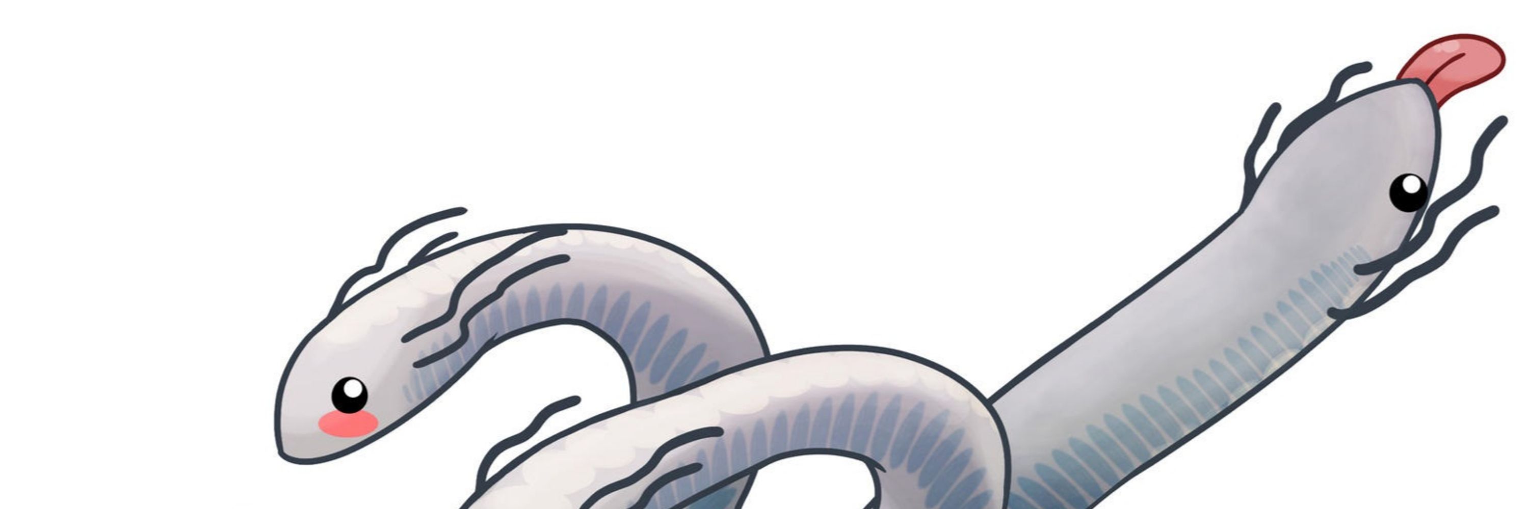 apexhydra