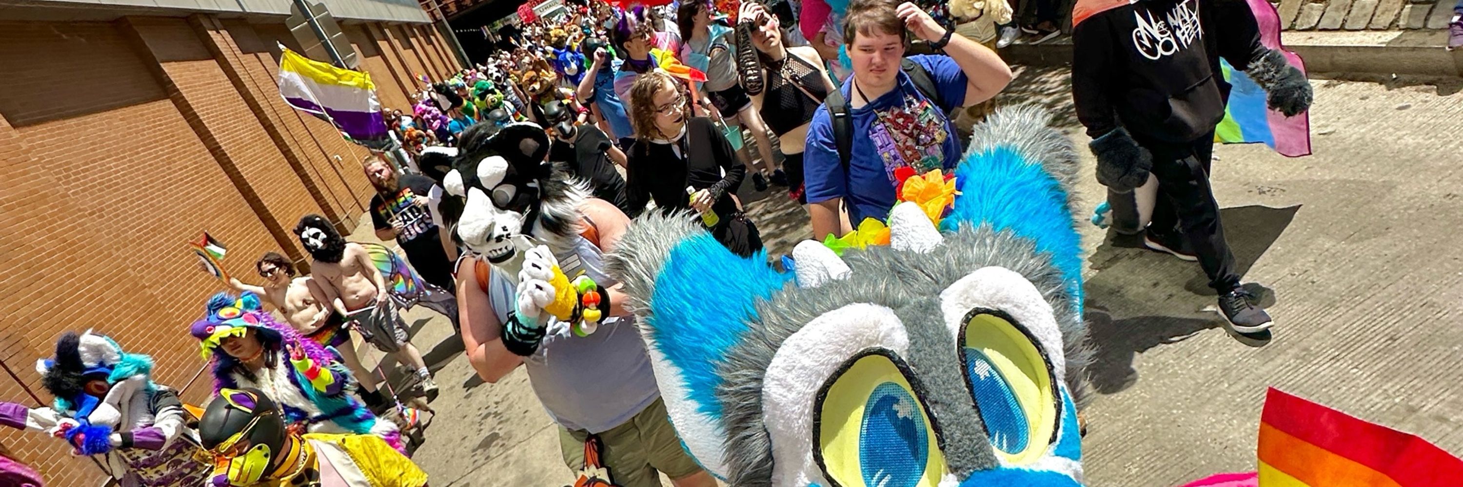 Coda The Dragon
