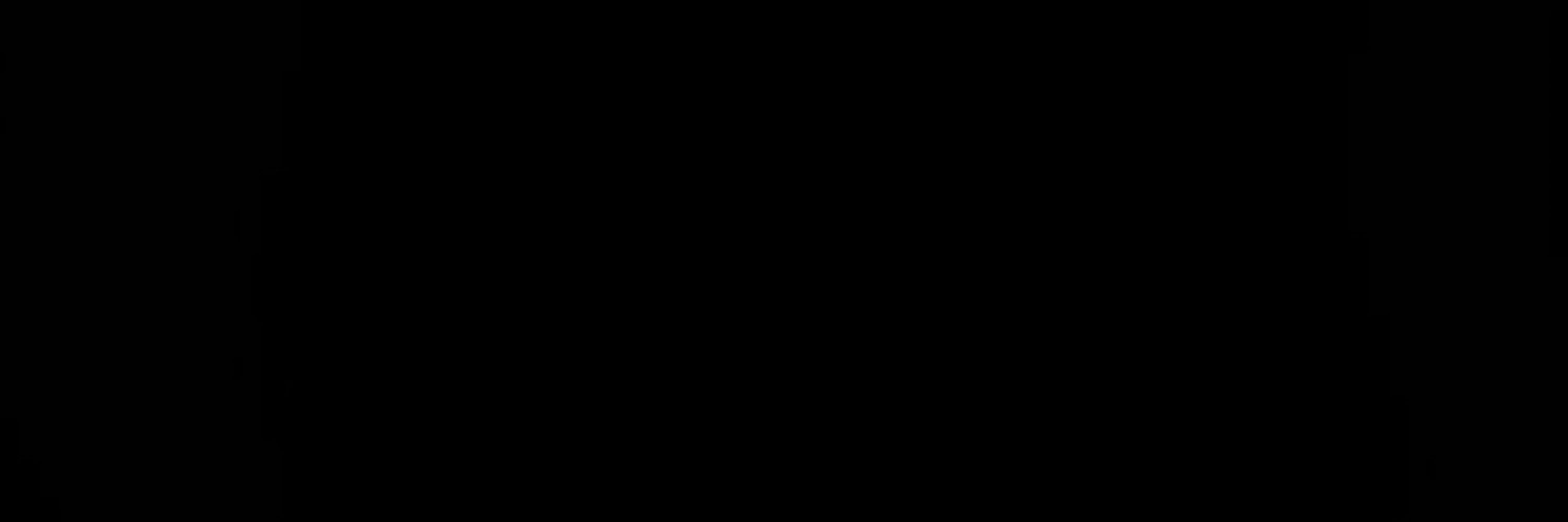 SALEM