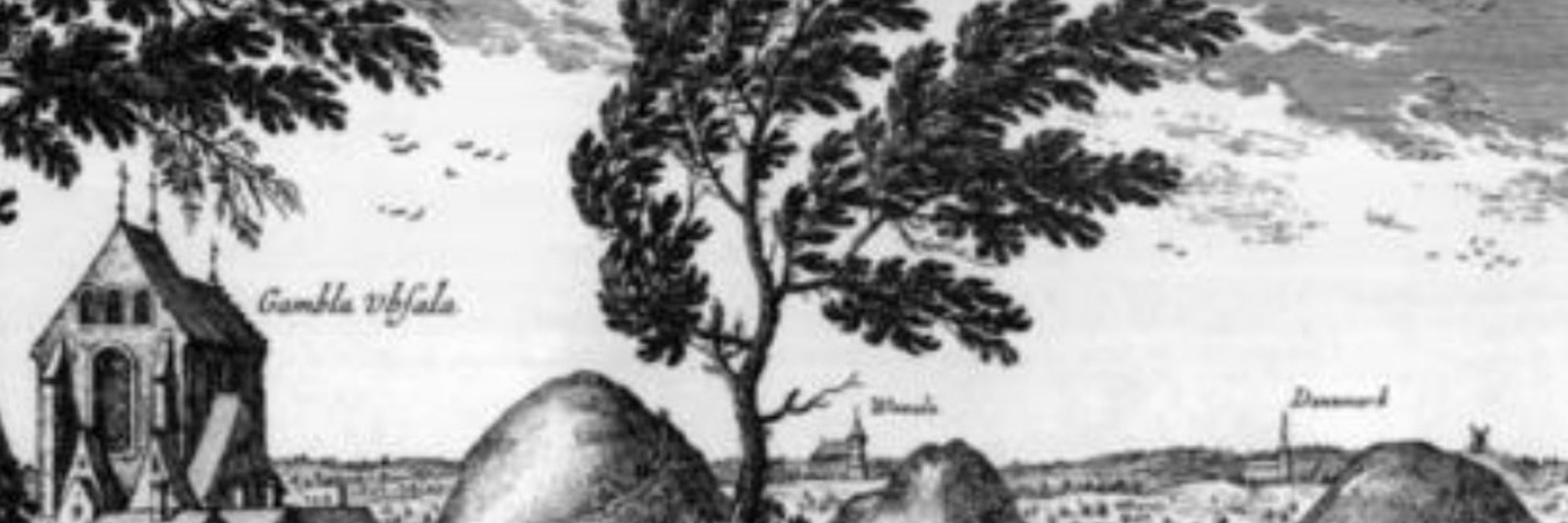 Mårten Forrest