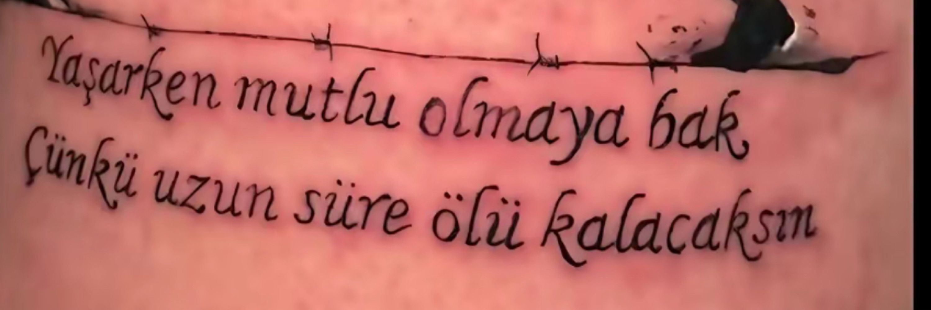 Yakyildiz ☯️
