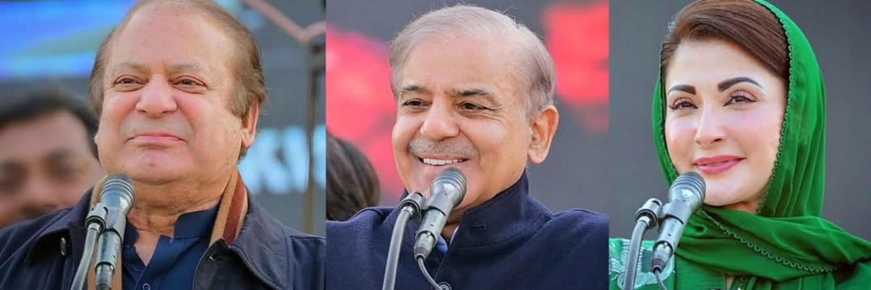 Raza Ansari