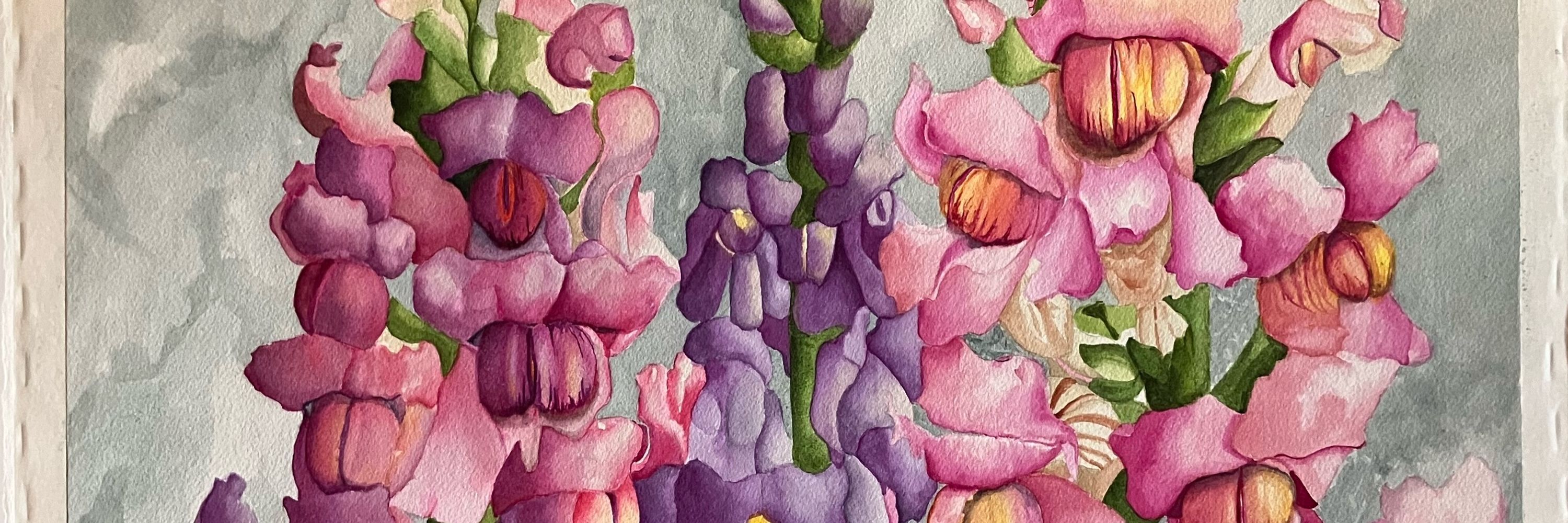 Amy Franz Holly