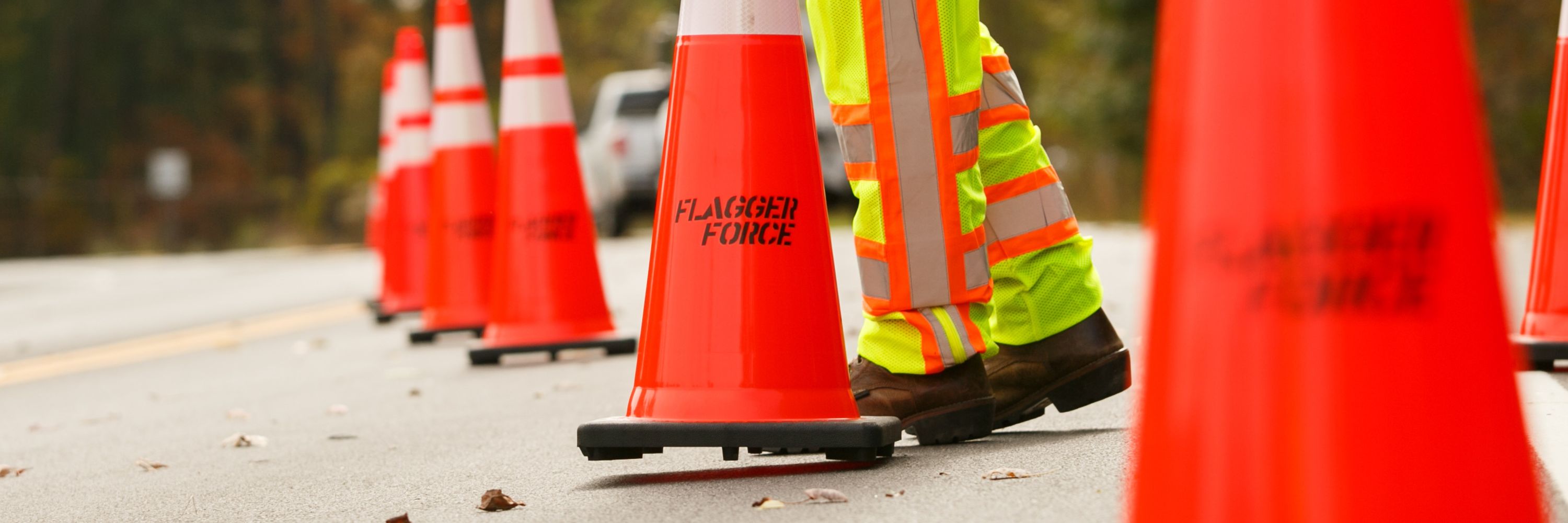 Flagger Force