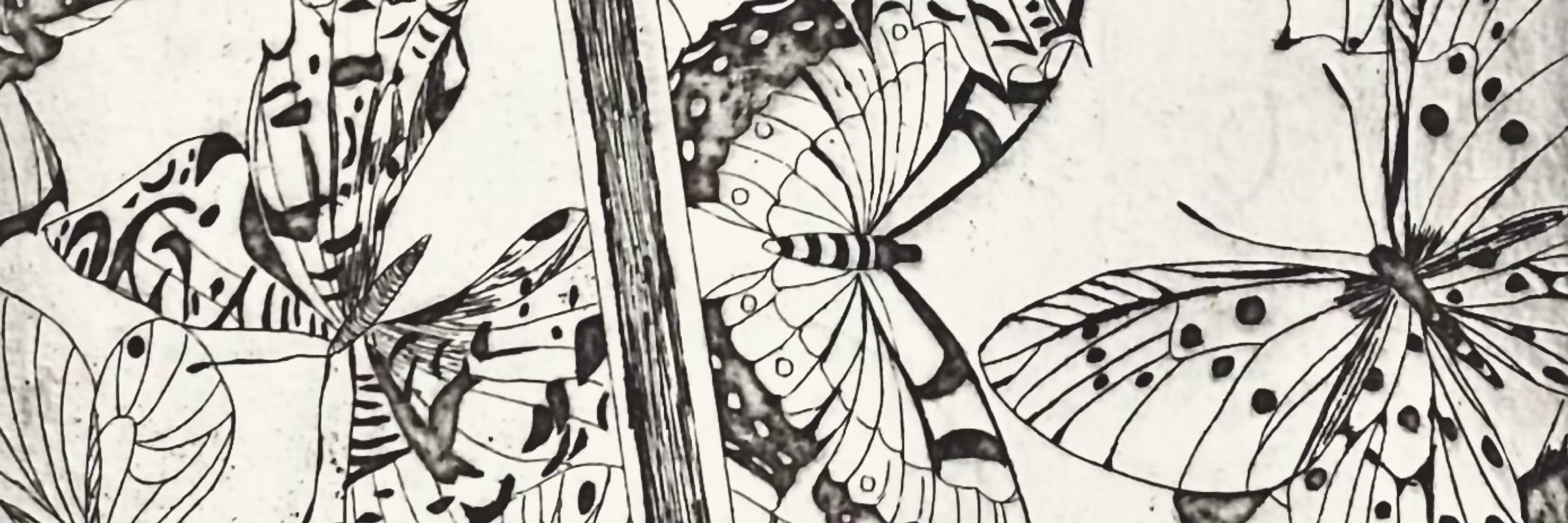 ikaka