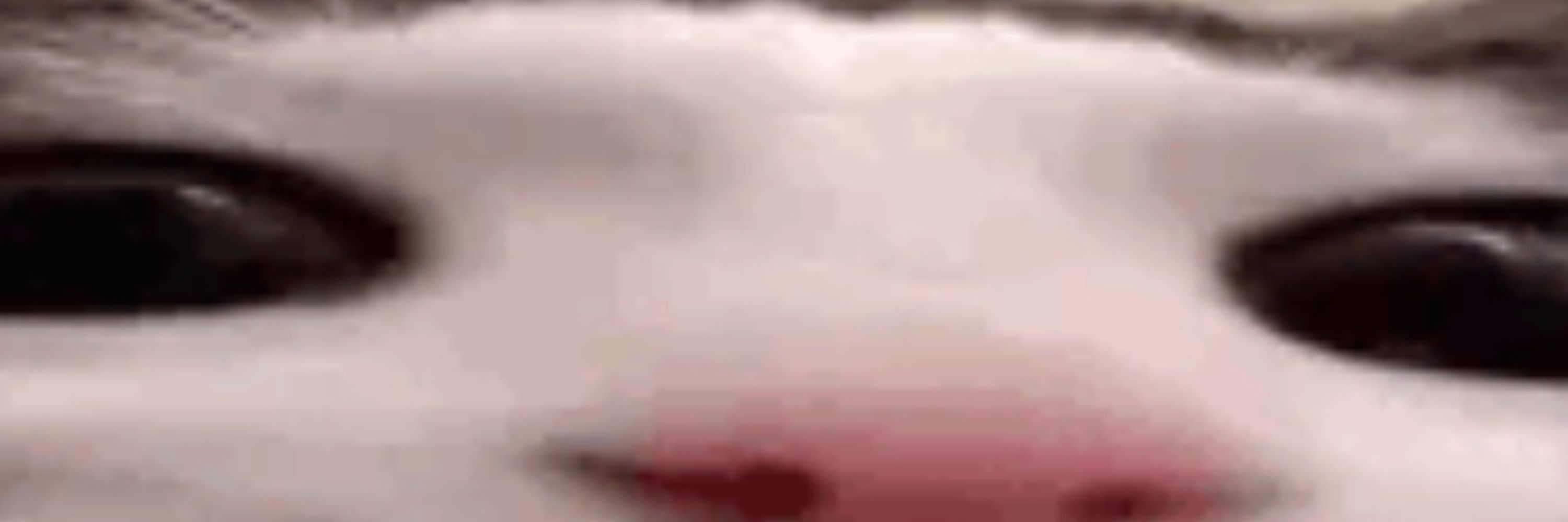 PeriBooty (Shad)