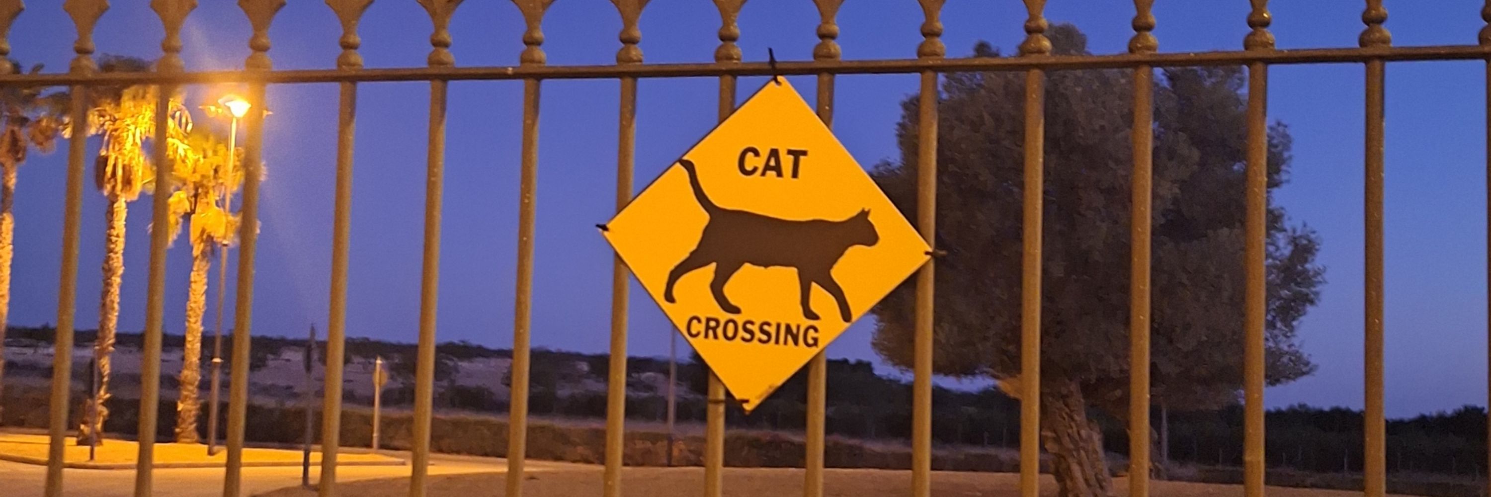 Leetchee