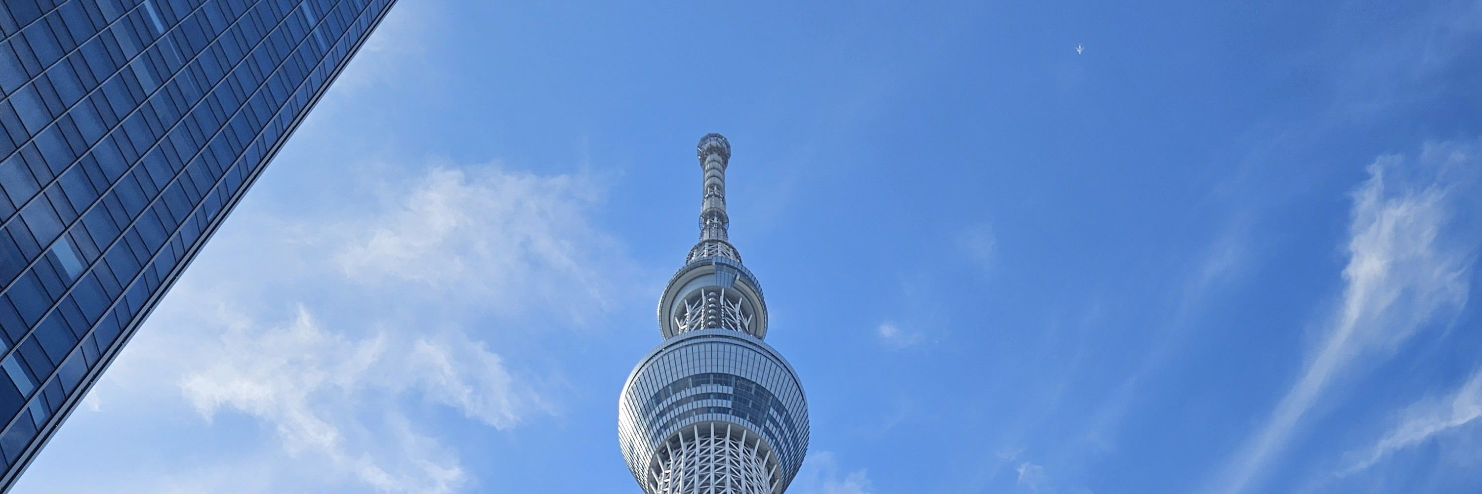 BT7