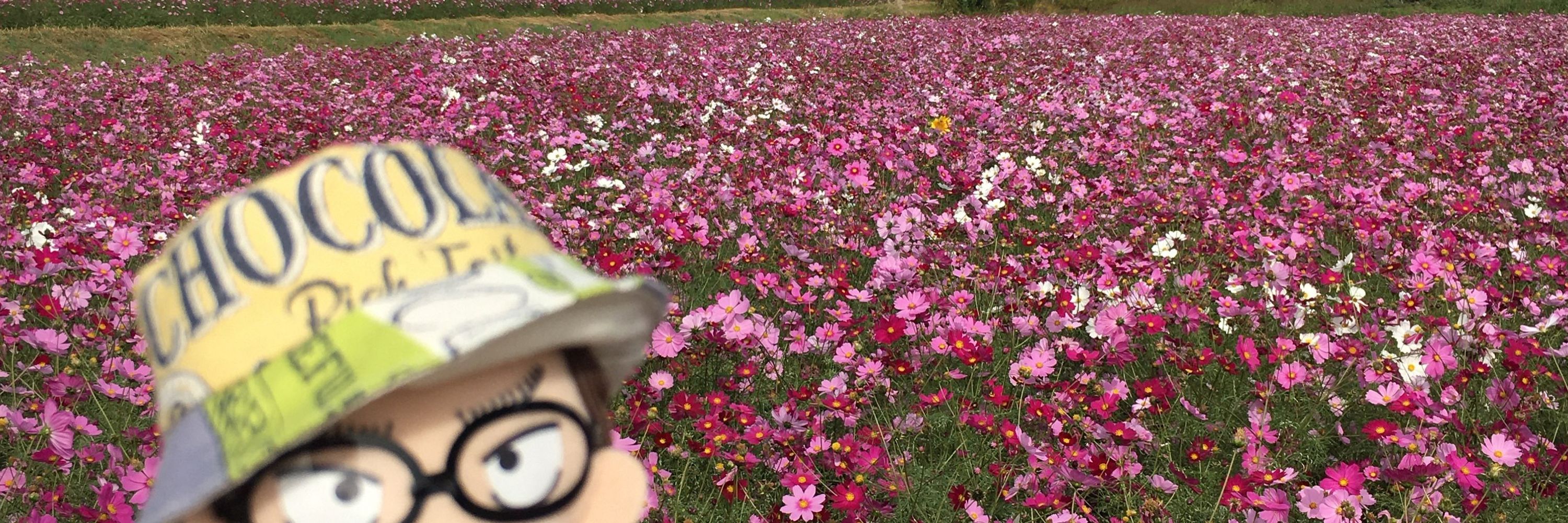 もっか(木花)