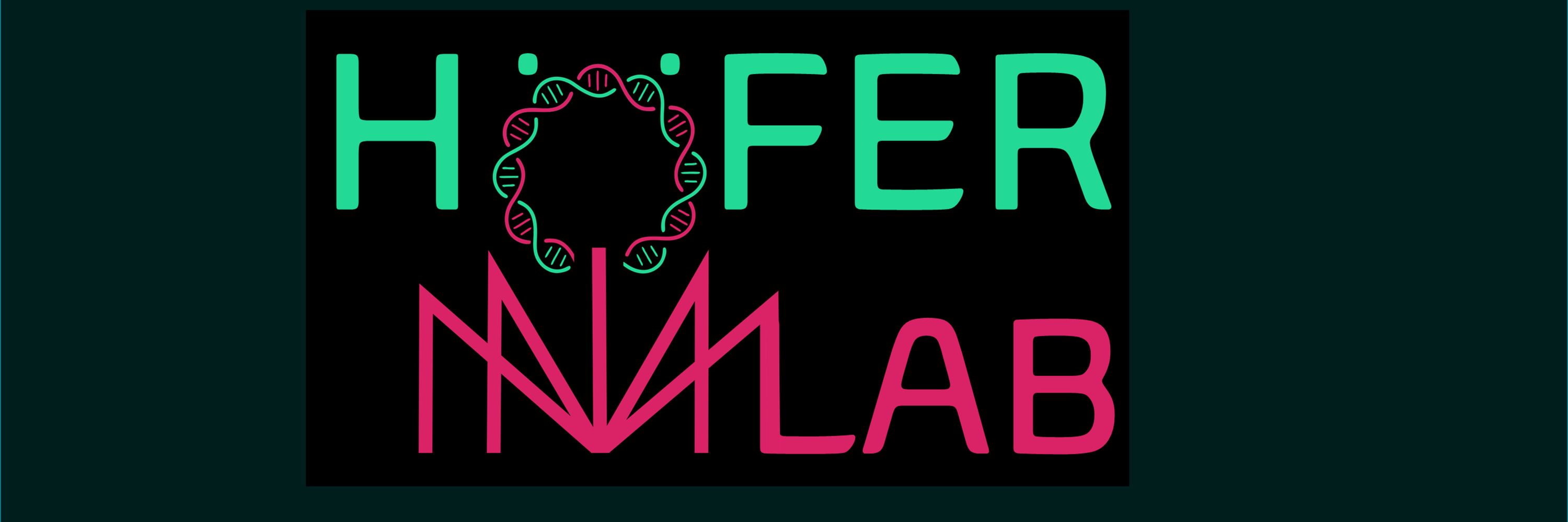 Höfer Lab