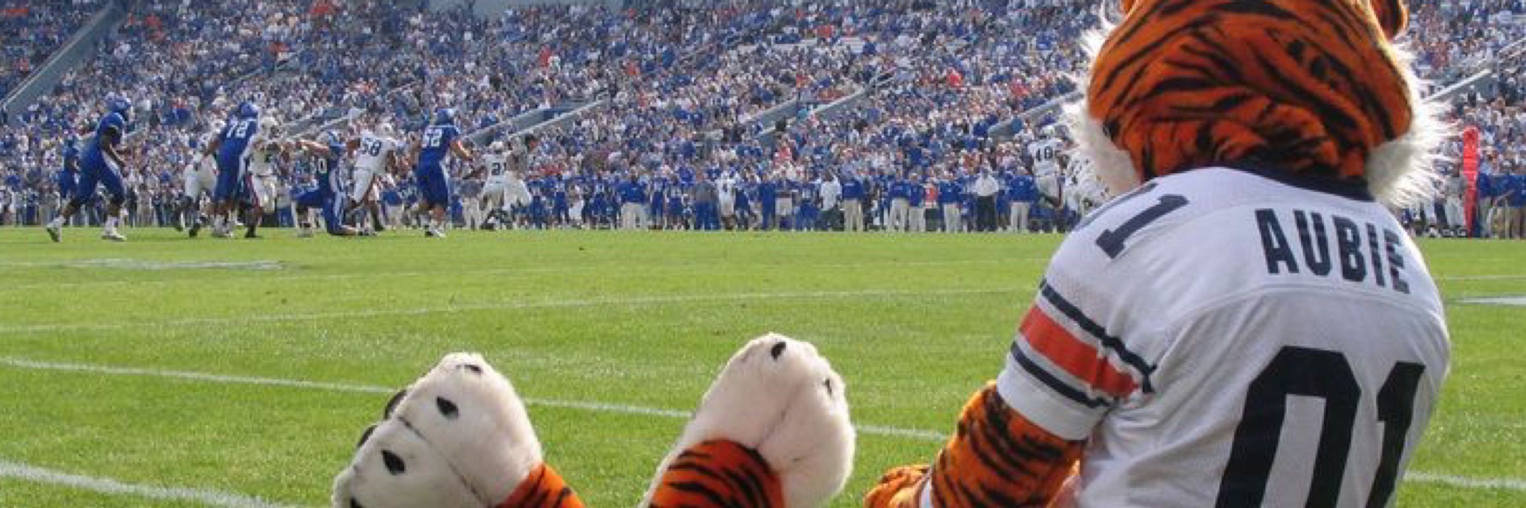 bitter aubie