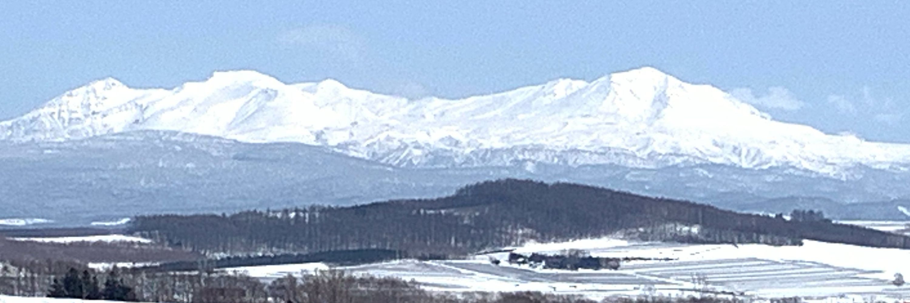柊月子