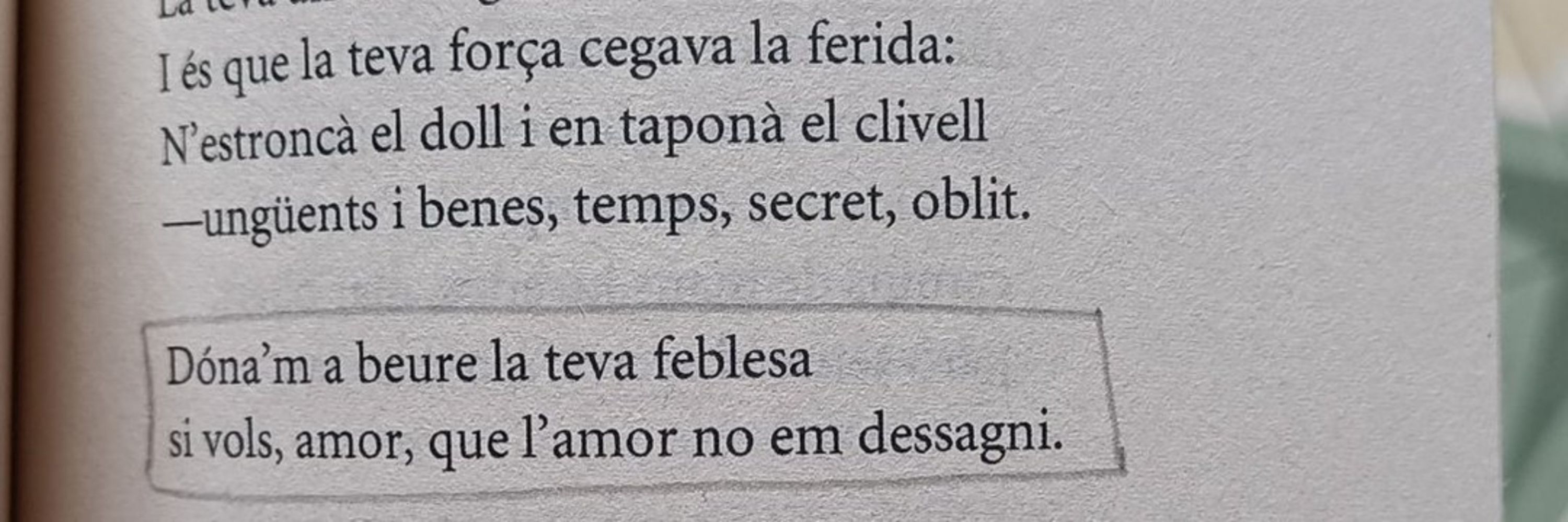 Raquel M.