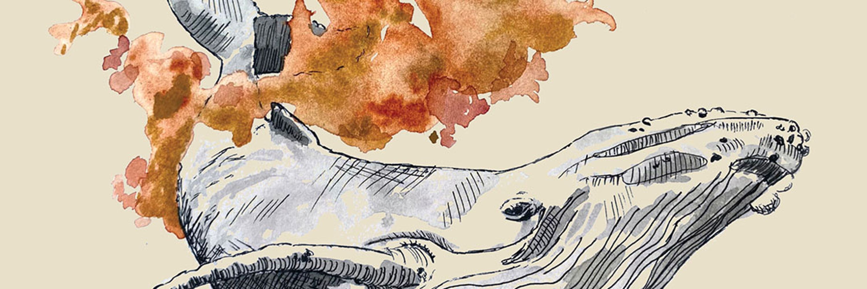 WWF Biodiversity