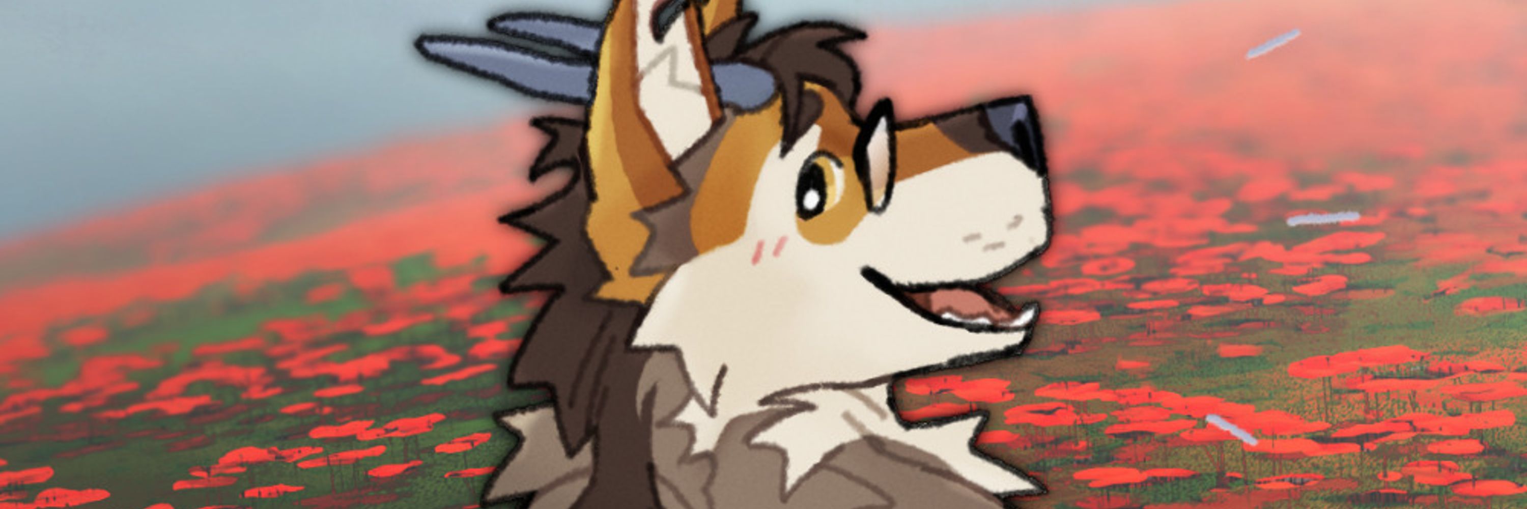 Dragonache 🔜 FWA