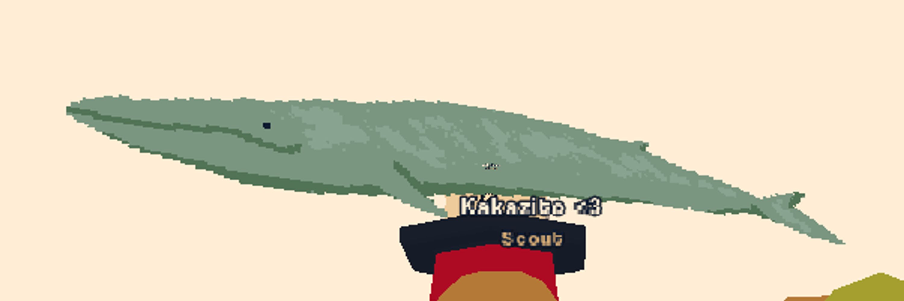 Kakazito 