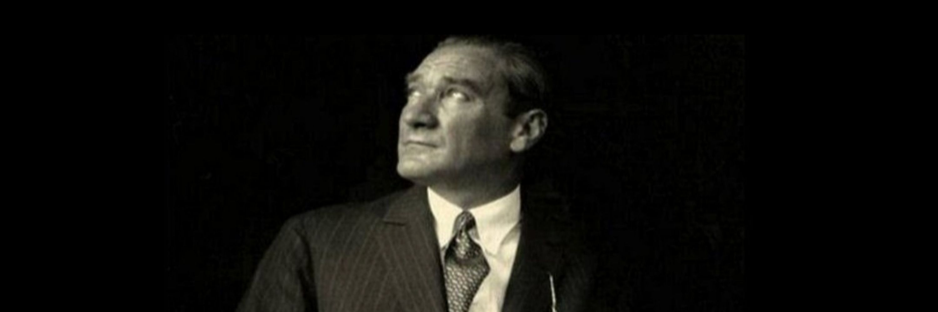 AyferHalefoglu