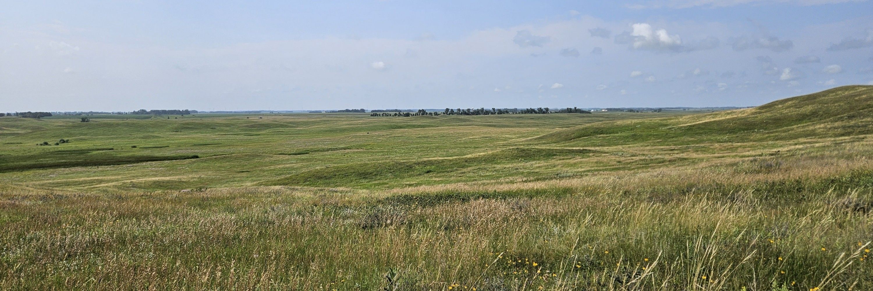 lazikade
