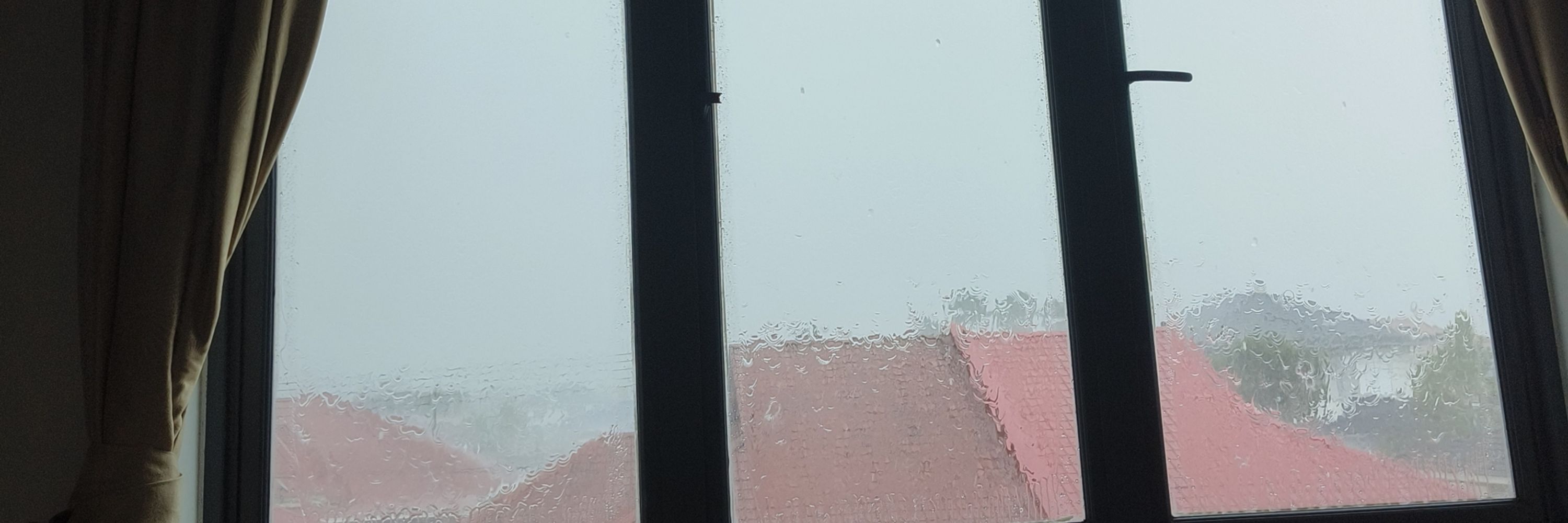 七月雪