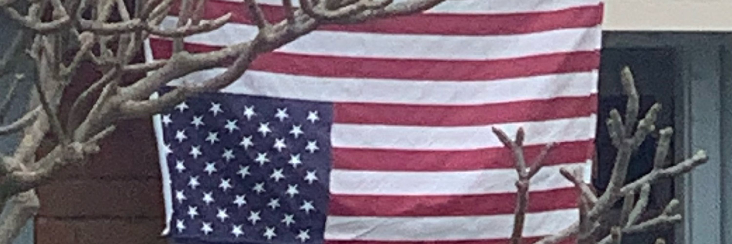ShinySteve-Democrat-Resister-💙myFam!