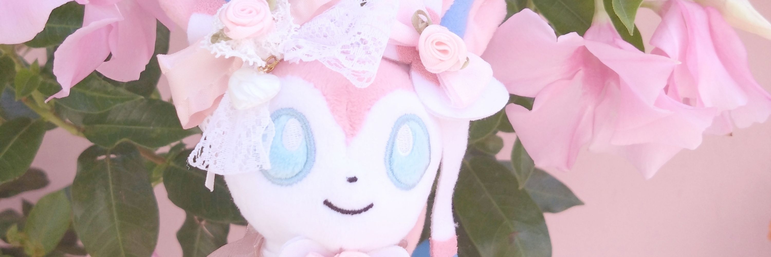 めぅ