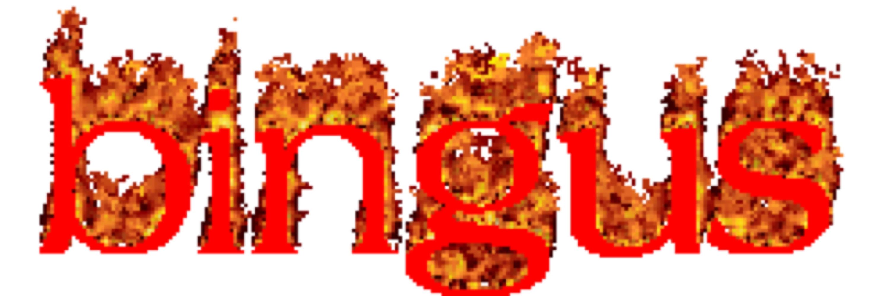 BINGUS!!