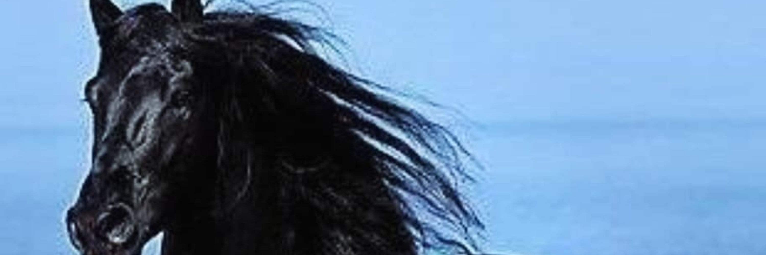 CABALLO NEGRO