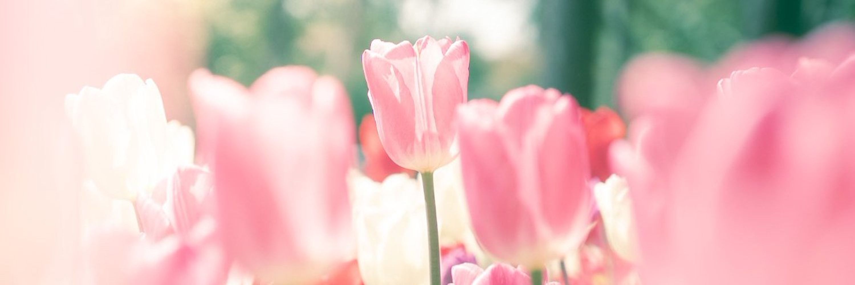 🌷𝐿𝑒𝑡'𝑠 𝑔𝑜 𝑏𝑒𝑙𝑜𝑤 𝑧𝑒𝑟𝑜