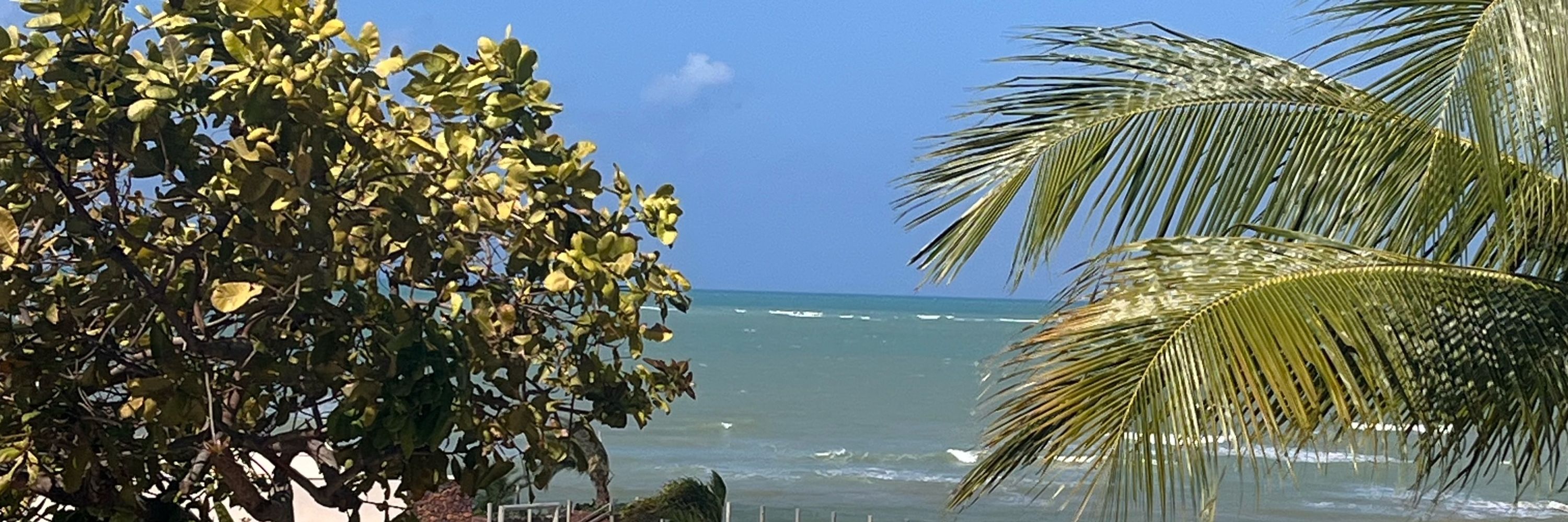 Sunnh 
