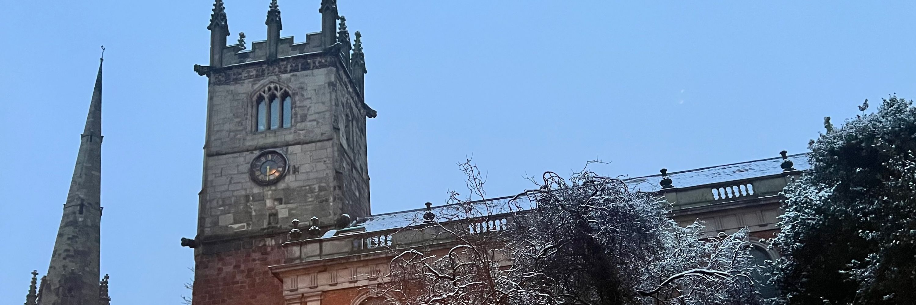 ShrewsRachael