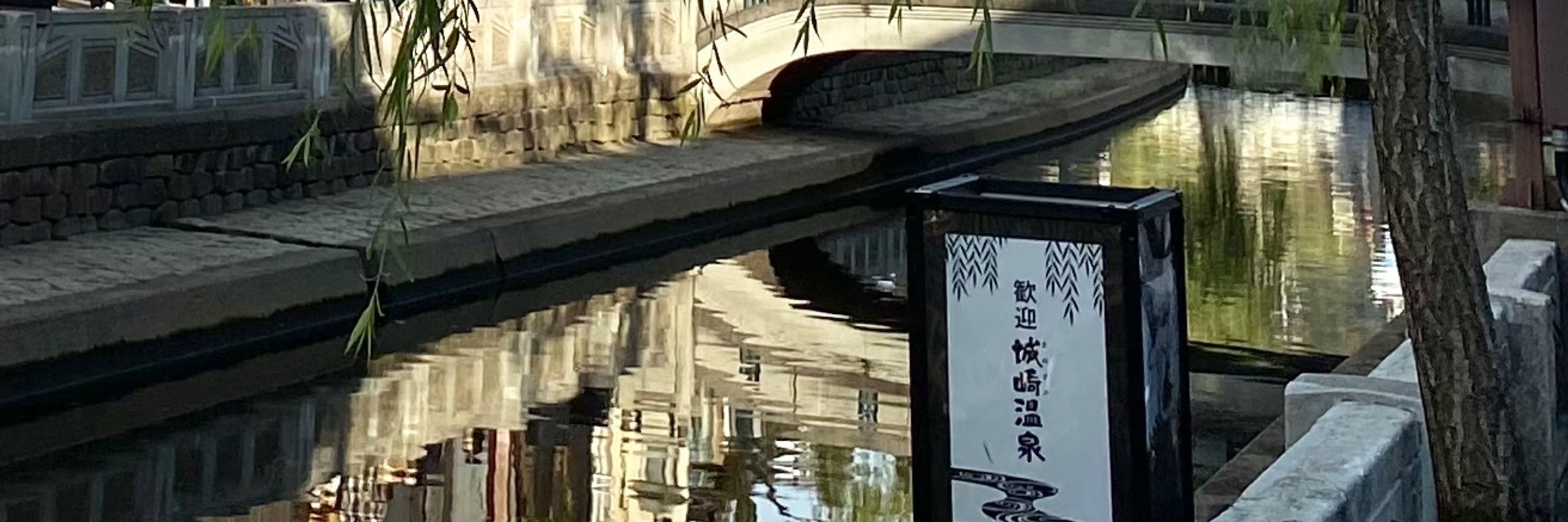 せてちゃ