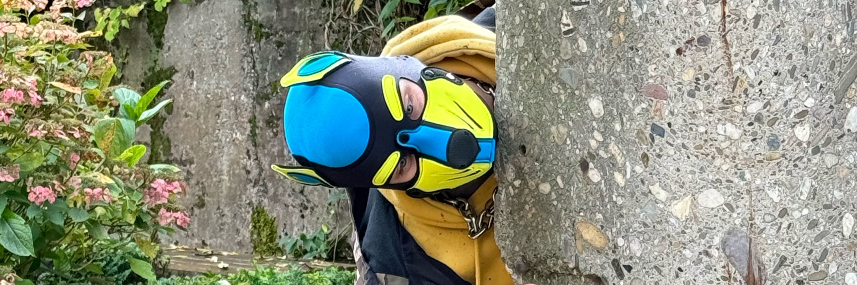 Pup Volt ⚡️