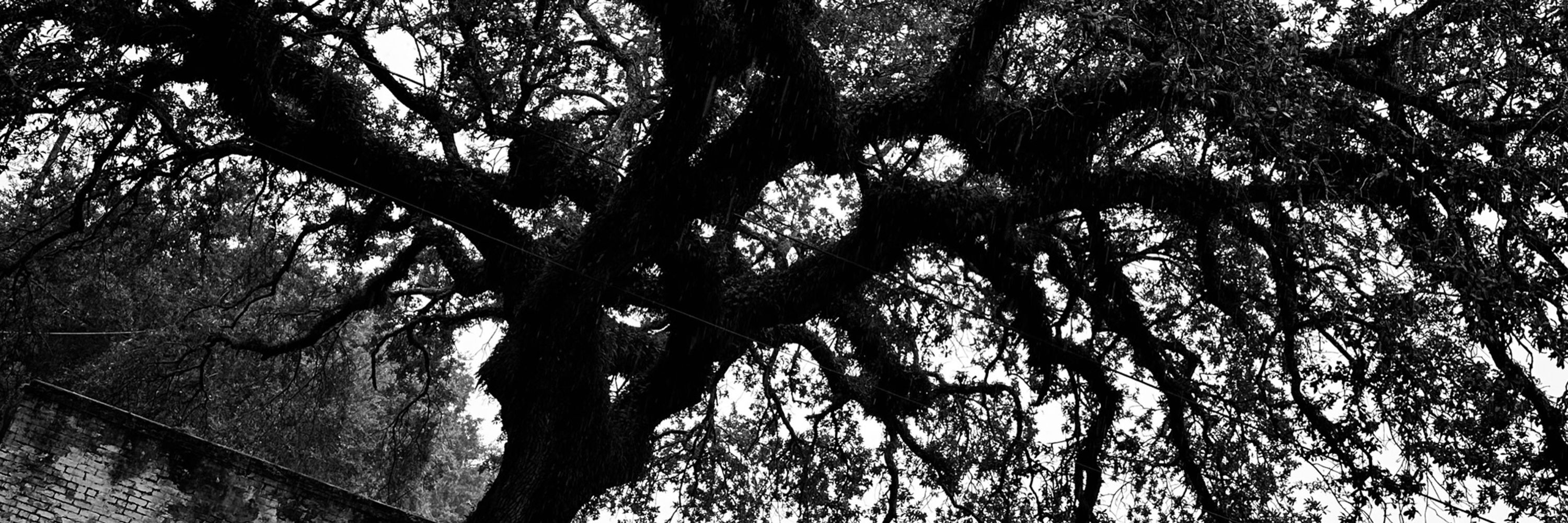 Eric Elkins