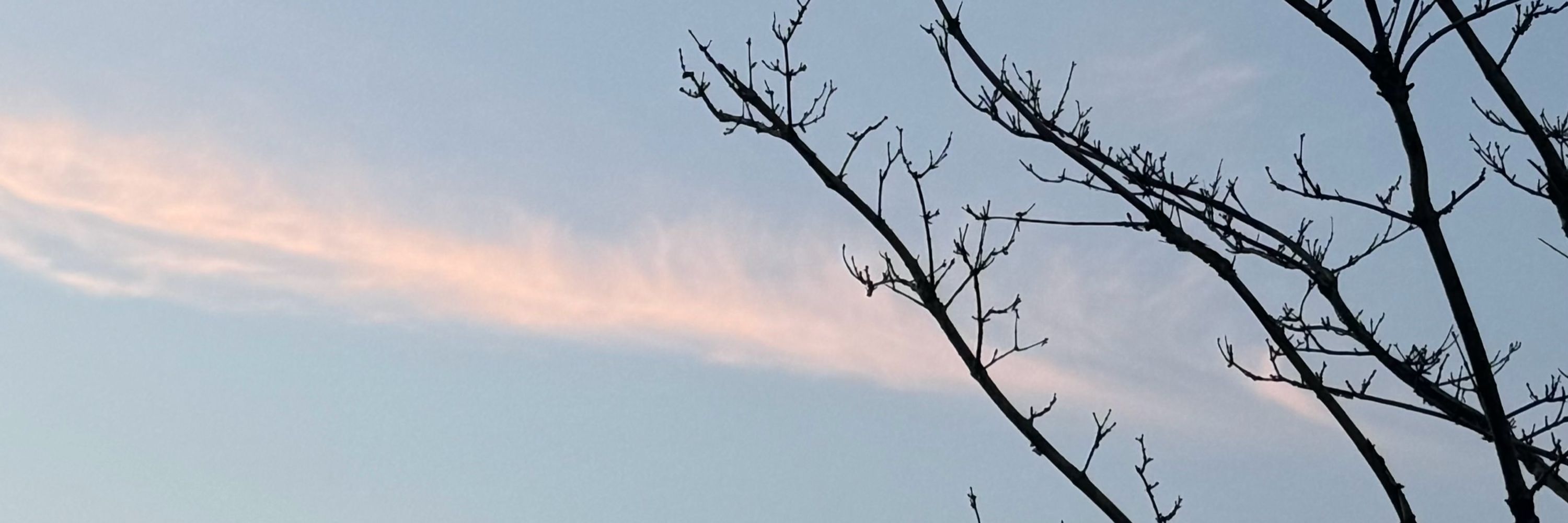 밤바람