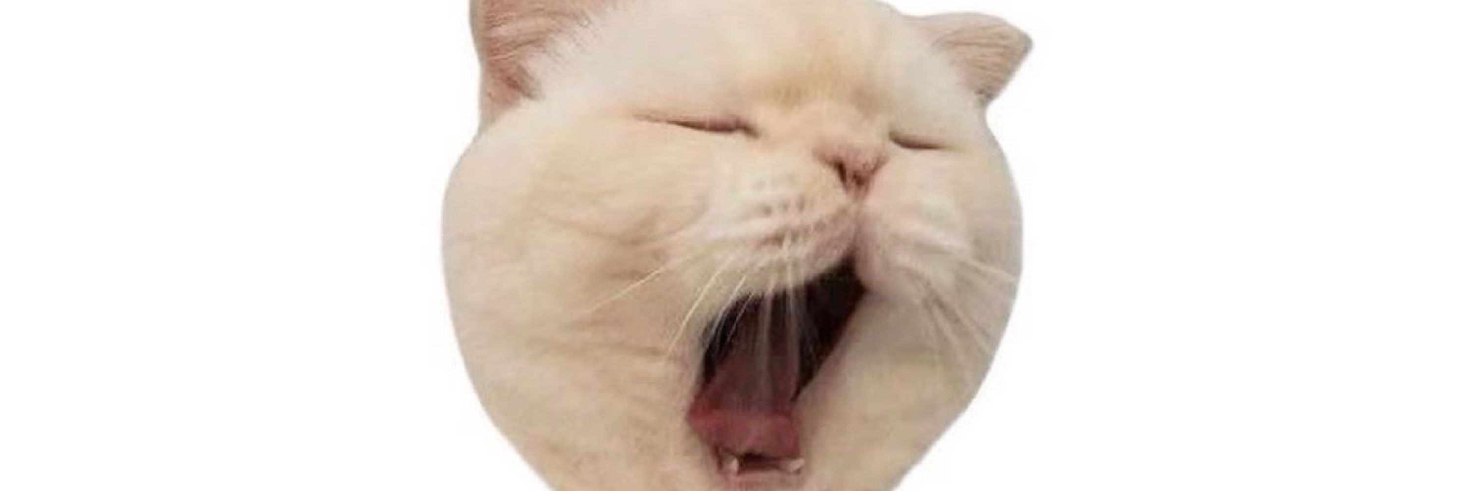 Я