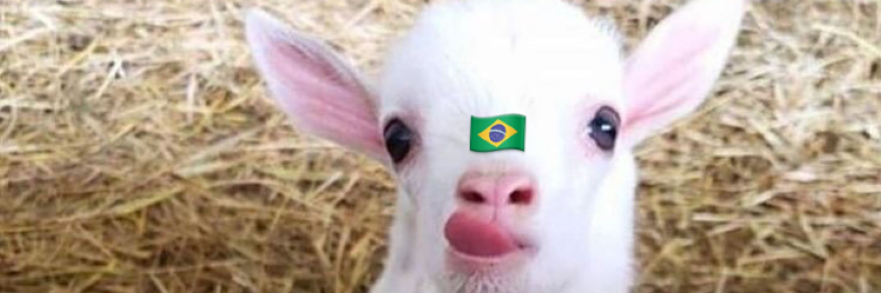 emi de uruguay ama o 🇧🇷