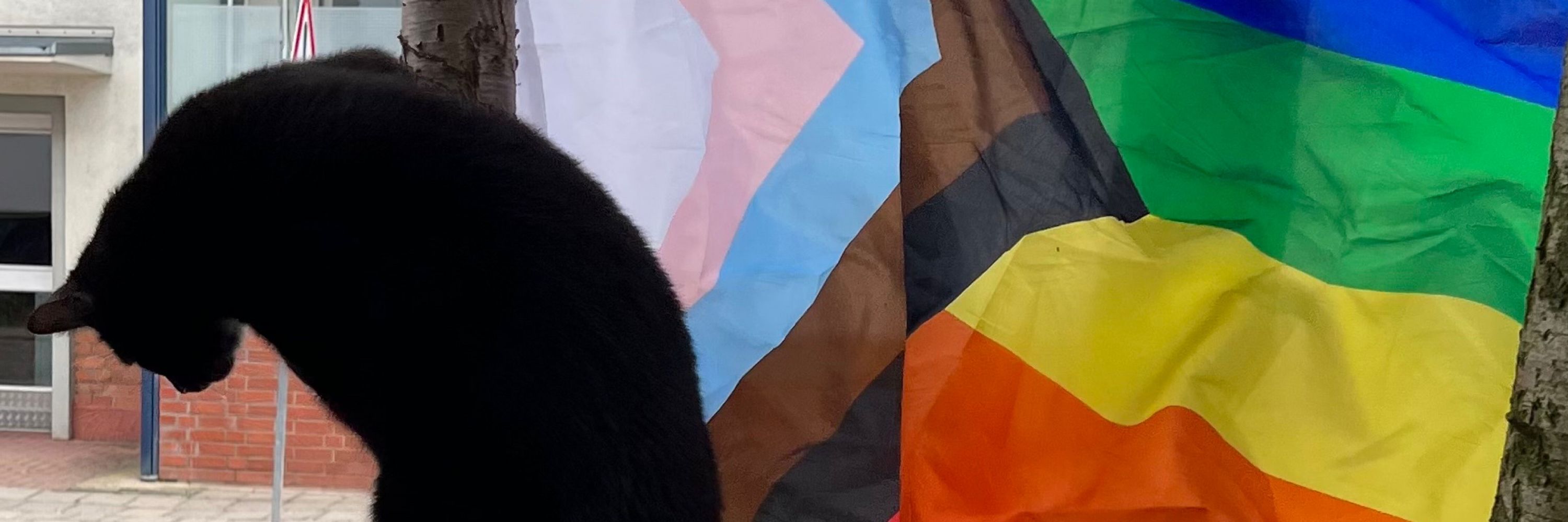 katzalina  🏳️‍🌈 📯