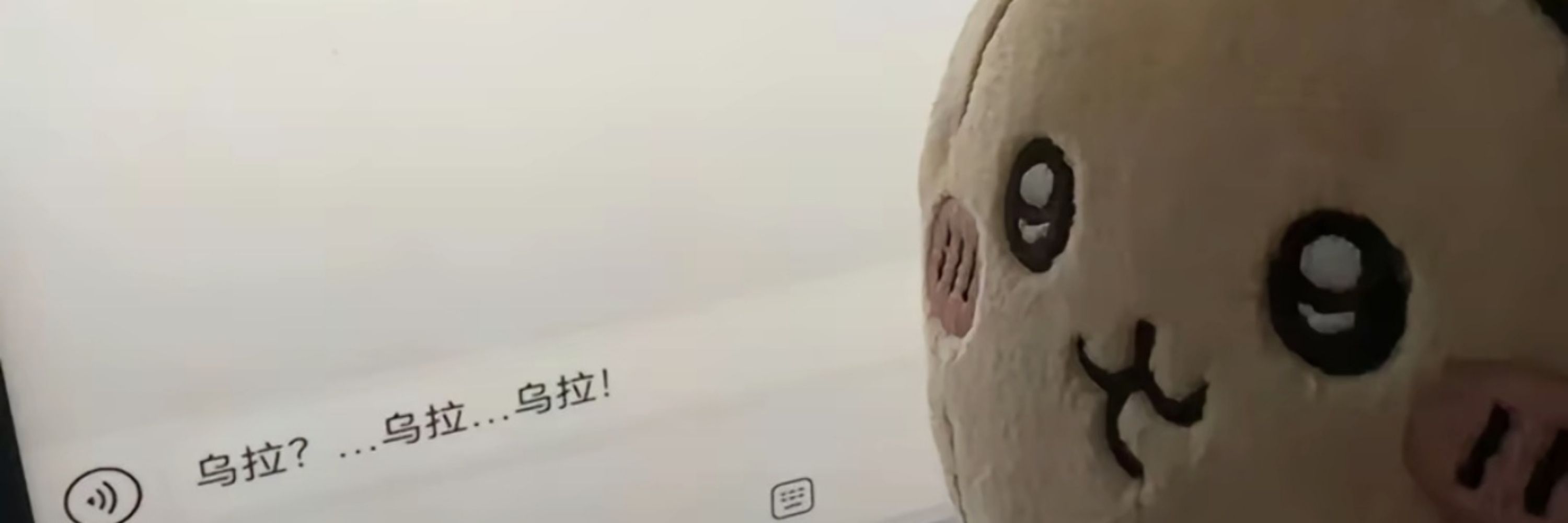 bunny