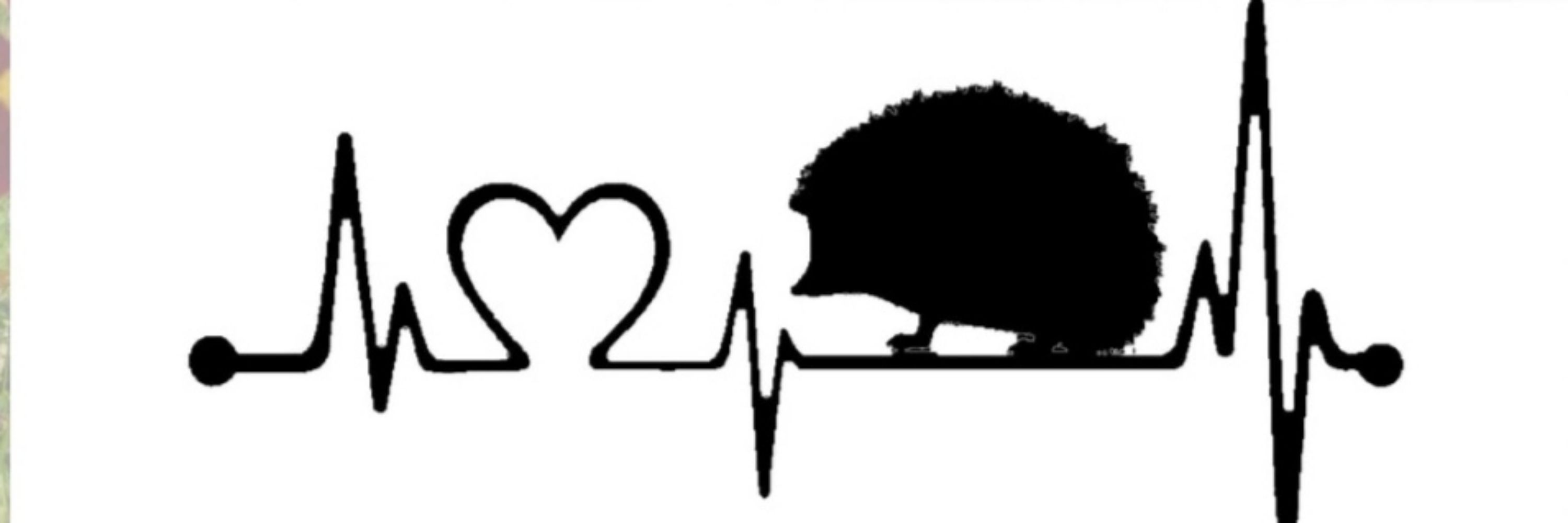 Help4hedgehogs
