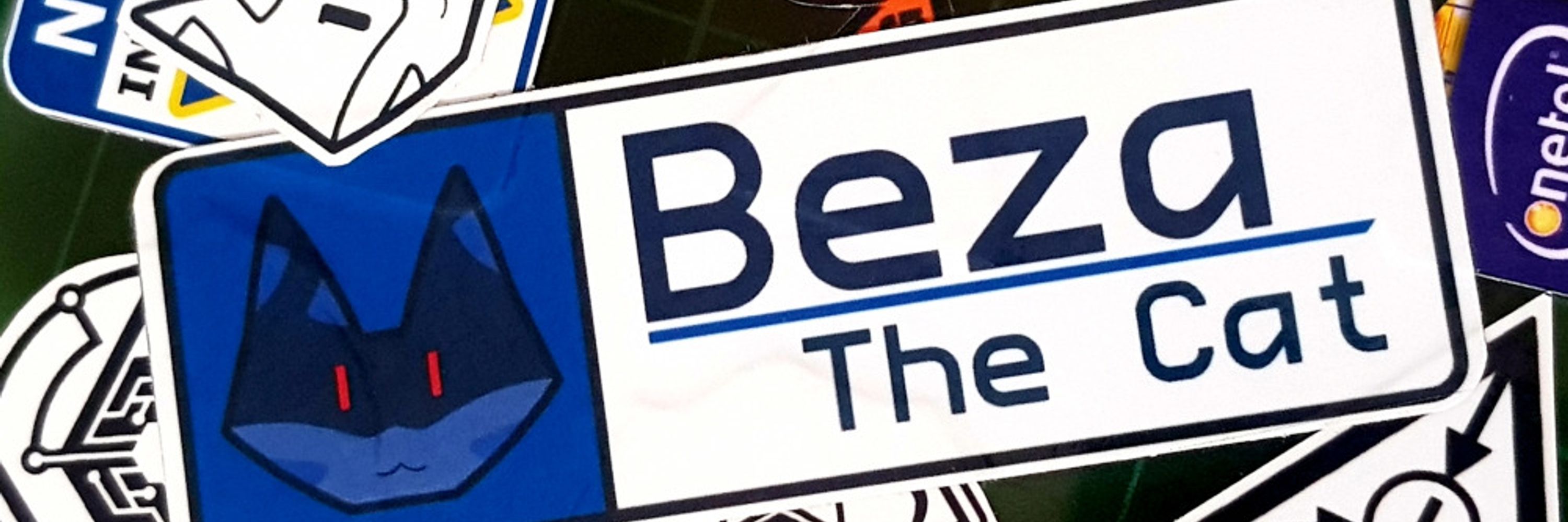 BezaTheCat ➡️ SiamPaws