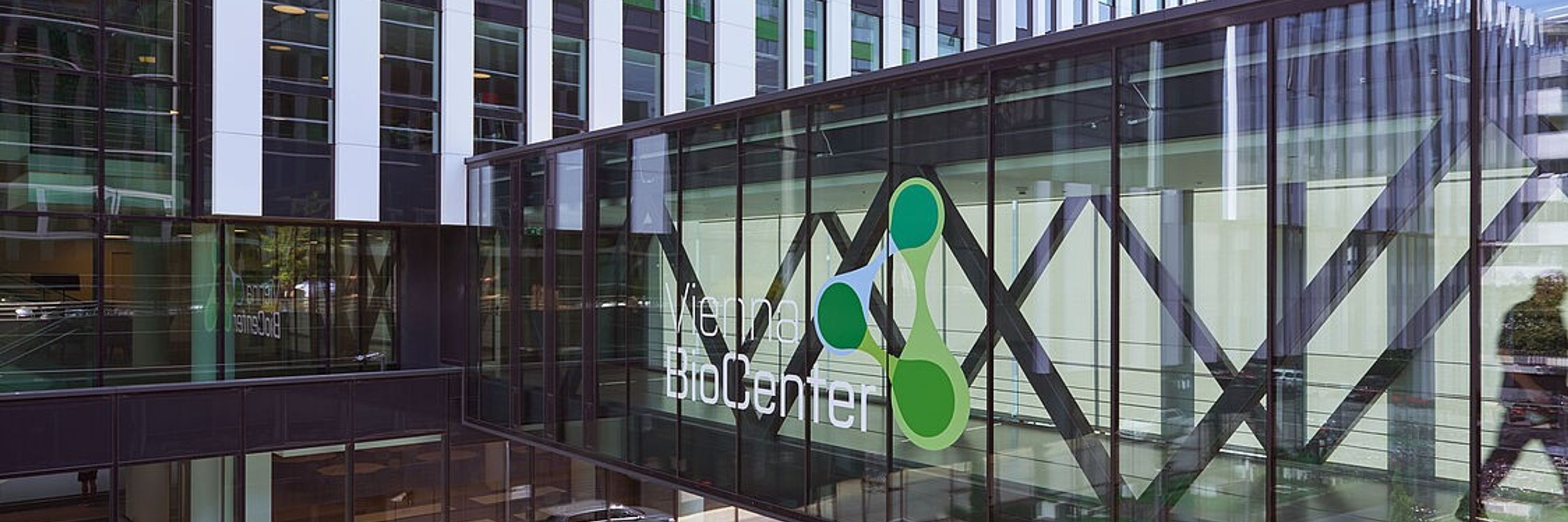 Vienna BioCenter Scientific Training
