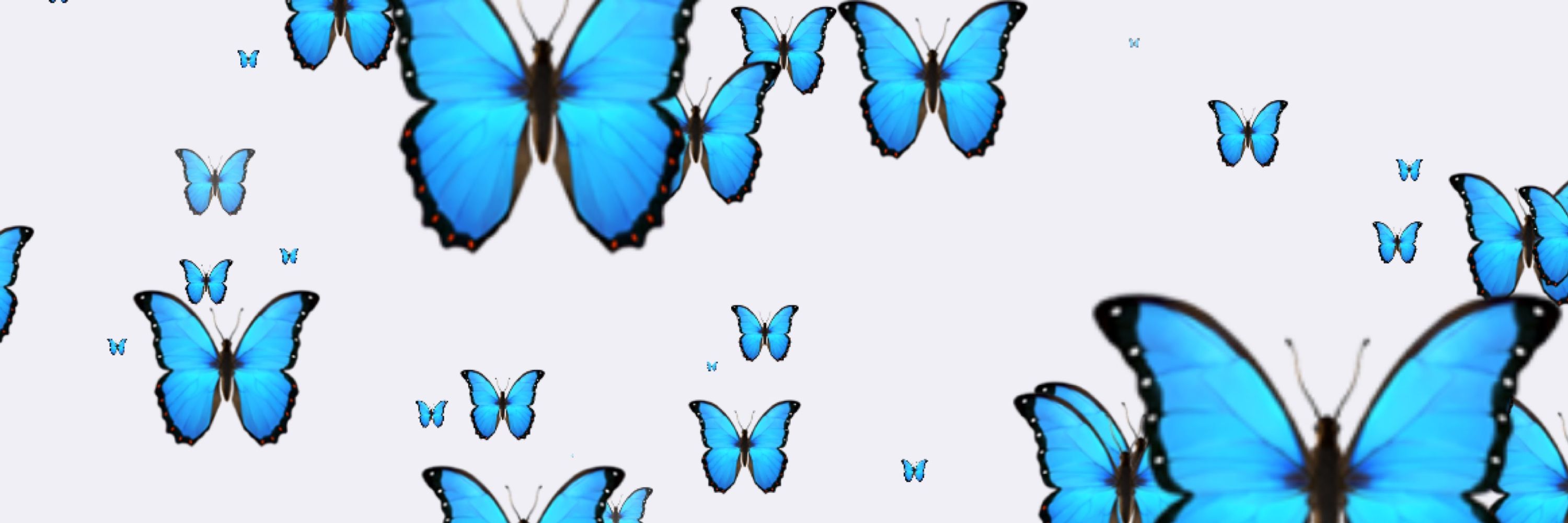 Niki Bee  🦋