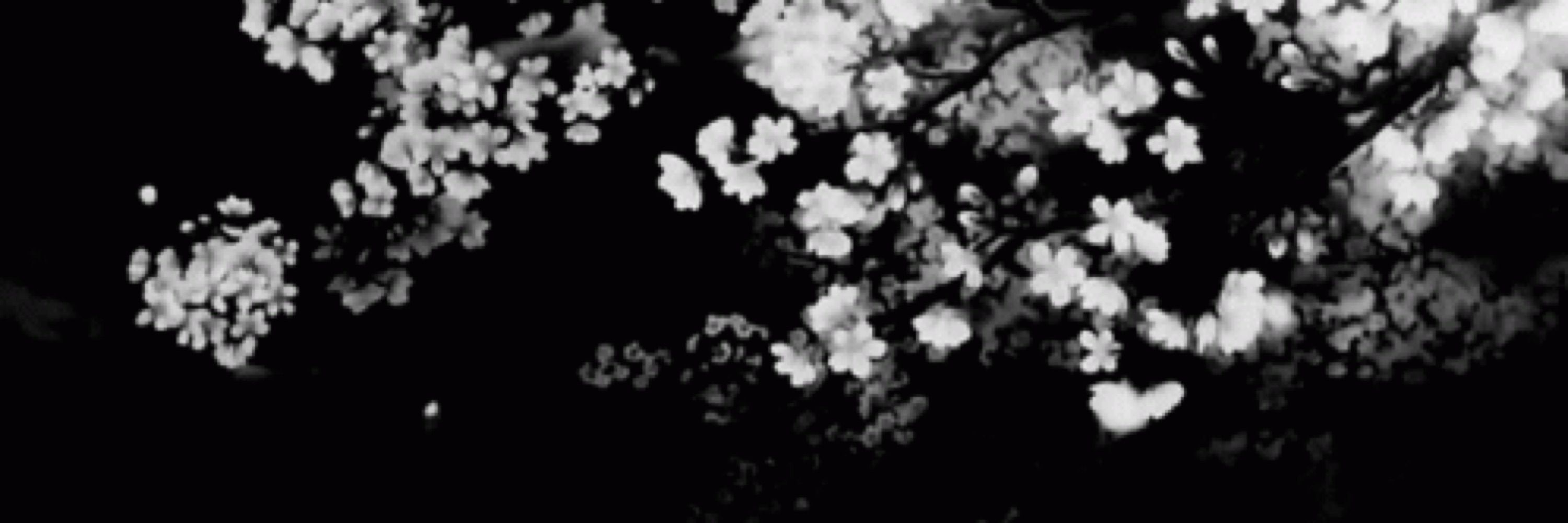 𐔌   .  ⋮ estrella  .ᐟ  *  ₊ ꒱