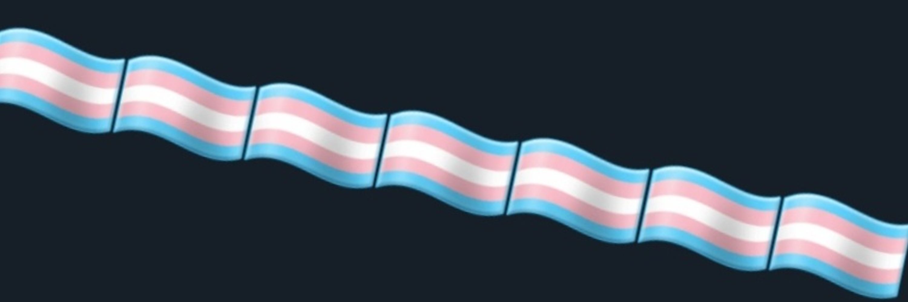 Trans Ally Essentials